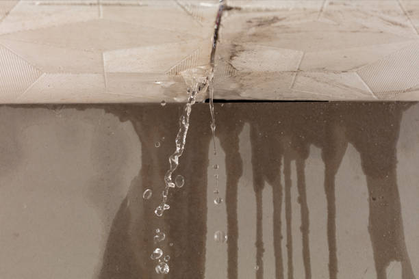 Professional Sewage Cleanup technician working in Westfield, IA